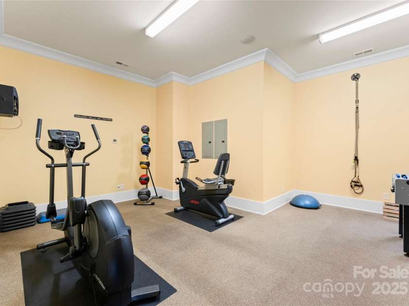 18420 Rosapenny Road, Charlotte, NC 28278.  MLS# CAR4240682, YatesRealty ID 16172. Gym in walk out basement