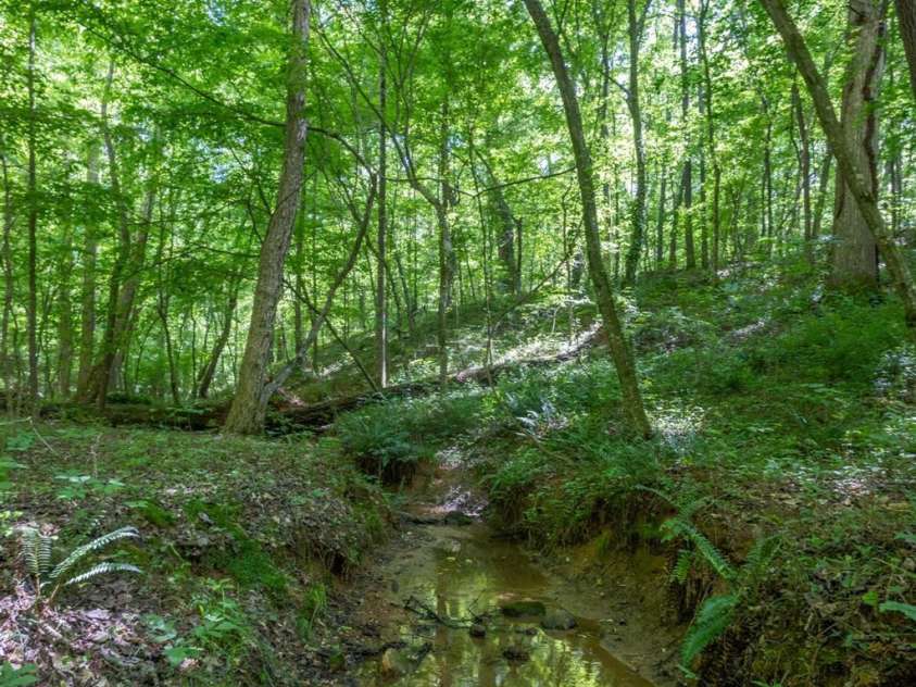 1567 Jennings Road, Statesville, NC 28625.  MLS# CAR4362477, YatesRealty ID 16181. 