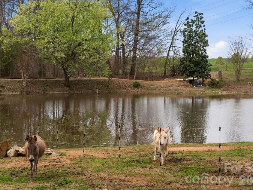 6777 Hockett Trail, Randleman, NC 27317.  MLS# CAR4359422, YatesRealty ID 16196. 