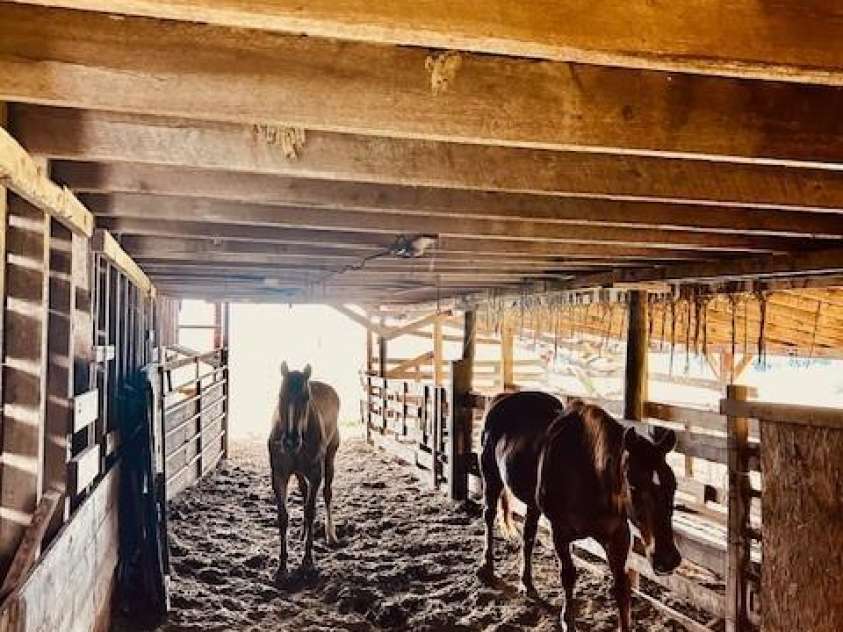 6714 Old Shelby Road, Vale, NC 28168.  MLS# CAR4263451, YatesRealty ID 16205. 