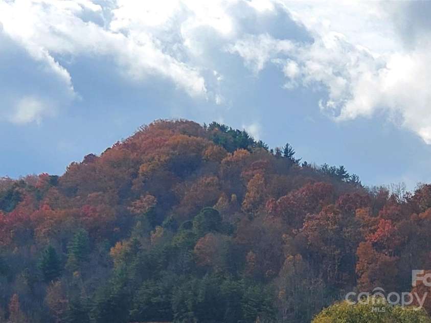626 Fairview Loop, Hot Springs, NC 28743.  MLS# CAR4302454, YatesRealty ID 1621. Fall colors are beautiful all-around the Hot Springs area. This knoll, just west of the house, is part of the view west from the front porch!