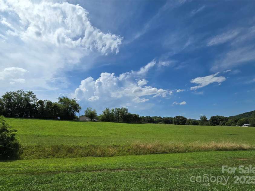 626 Fairview Loop, Hot Springs, NC 28743.  MLS# CAR4302454, YatesRealty ID 1621. Many deer of all sizes and descriptions surround the house all the time. Watch them eating, romping, and moms nursing their young in this meadow, or simply walking through the back and side yards.