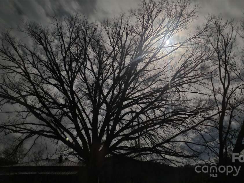 626 Fairview Loop, Hot Springs, NC 28743.  MLS# CAR4302454, YatesRealty ID 1621. Sitting on the front porch under a full moon in late fall / winter with Bluff Mountain just to the southwest.