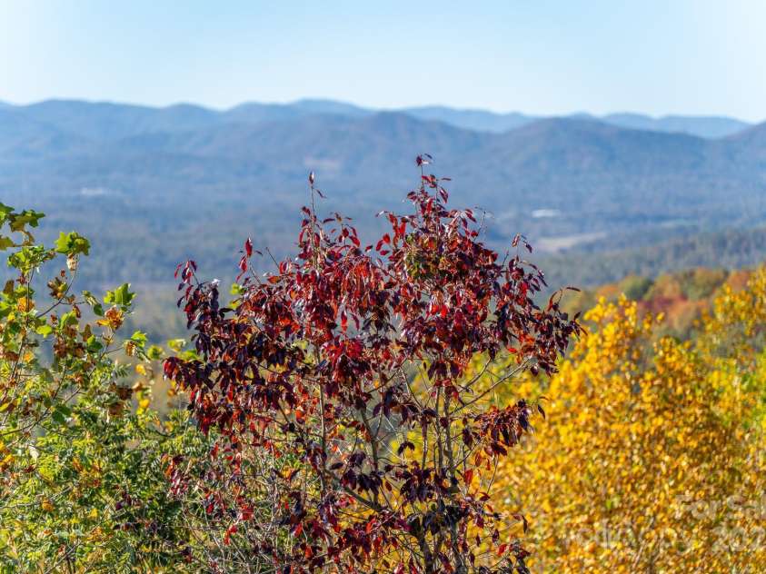 117 Distant View Drive, Asheville, NC 28803.  MLS# CAR4253814, YatesRealty ID 16253. 