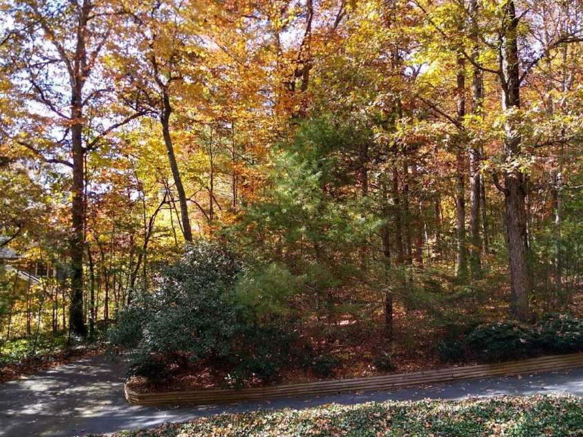 456 Mills Gap Road, Arden, NC 28704.  MLS# CAR4227712, YatesRealty ID 1626. 