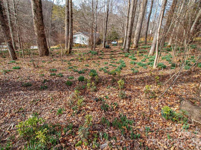 356 Pleasant Hill Drive, Brevard, NC 28712.  MLS# CAR4354841, YatesRealty ID 16304. 