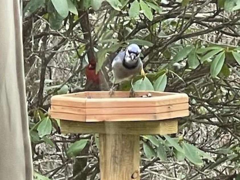 167 Simmons Ridge Road, Spruce Pine, NC 28777.  MLS# CAR4287877, YatesRealty ID 1633. 