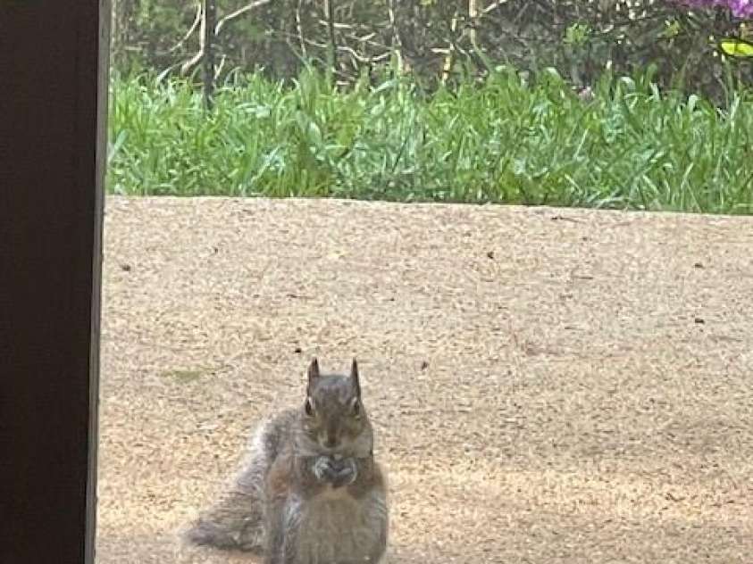 167 Simmons Ridge Road, Spruce Pine, NC 28777.  MLS# CAR4287877, YatesRealty ID 1633. 