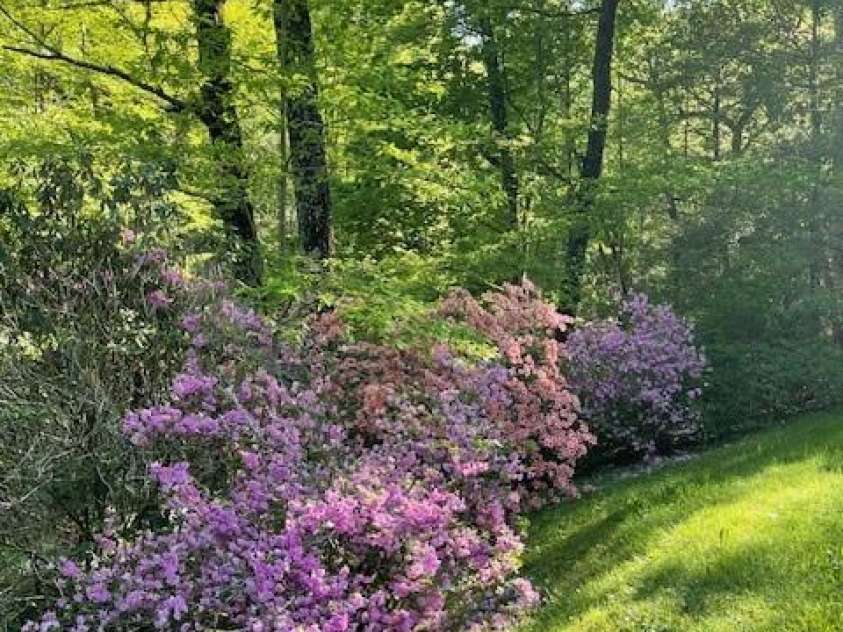 167 Simmons Ridge Road, Spruce Pine, NC 28777.  MLS# CAR4287877, YatesRealty ID 1633. 