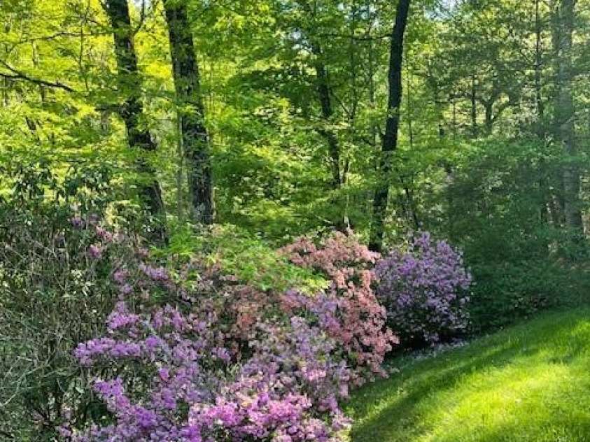 167 Simmons Ridge Road, Spruce Pine, NC 28777.  MLS# CAR4287877, YatesRealty ID 1633. 