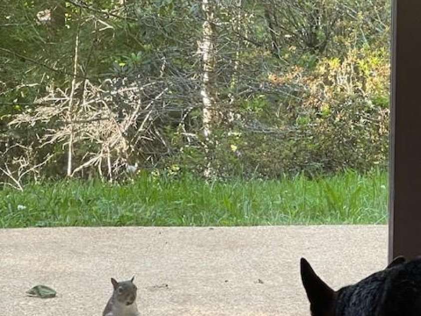 167 Simmons Ridge Road, Spruce Pine, NC 28777.  MLS# CAR4287877, YatesRealty ID 1633. 