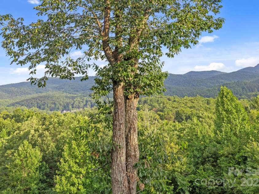 288 Hawks Point Drive, Zirconia, NC 28790.  MLS# CAR4239800, YatesRealty ID 16335. 