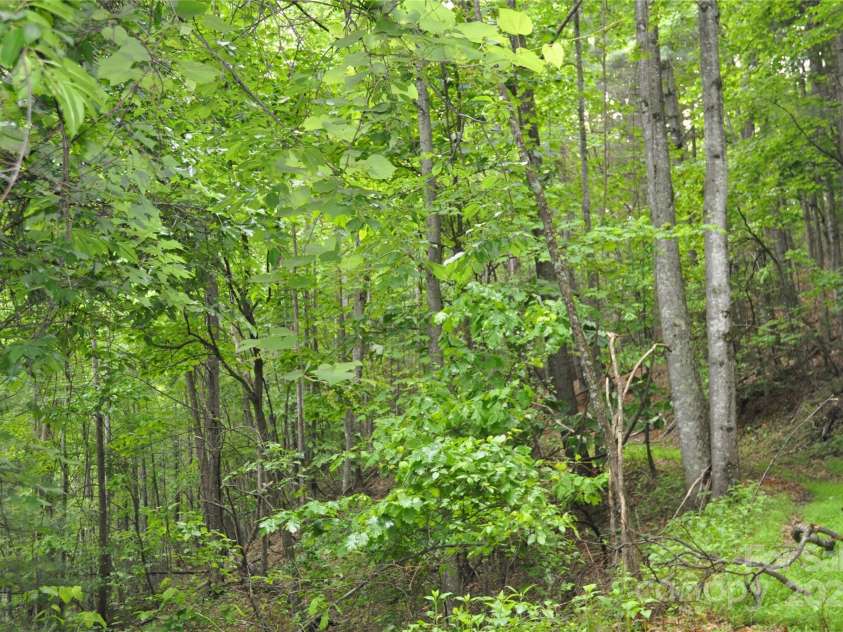 4091 Big Ivy Road, Purlear, NC 28665.  MLS# CAR4258745, YatesRealty ID 16348. 