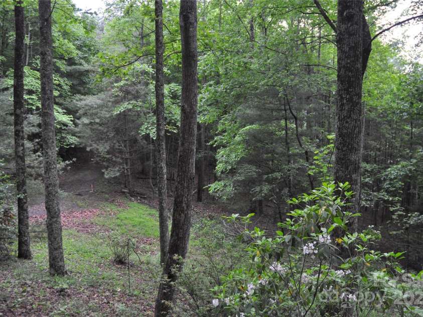 4091 Big Ivy Road, Purlear, NC 28665.  MLS# CAR4258745, YatesRealty ID 16348. 