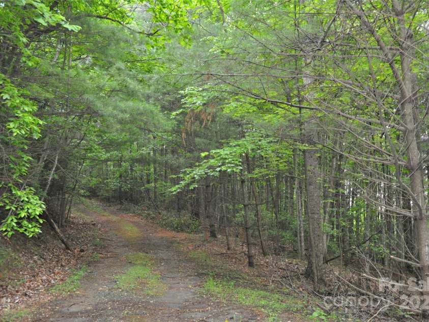 4091 Big Ivy Road, Purlear, NC 28665.  MLS# CAR4258745, YatesRealty ID 16348. 