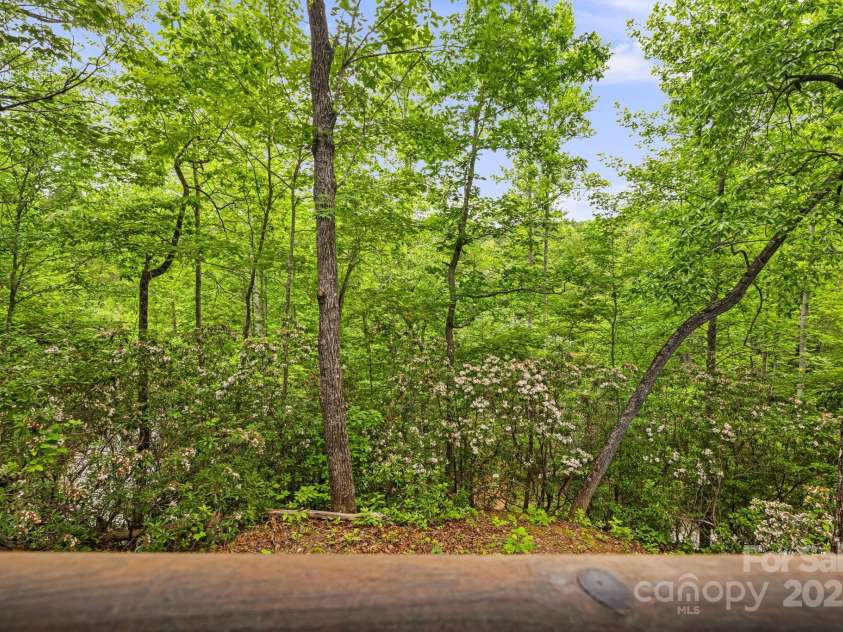 108 Cougar Alley, Lake Lure, NC 28746.  MLS# CAR4256706, YatesRealty ID 16349. View of mountain laurel