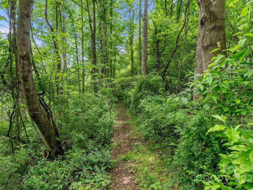 9 Mikayla Lane, Candler, NC 28715.  MLS# CAR4242075, YatesRealty ID 16364. Fern gully
