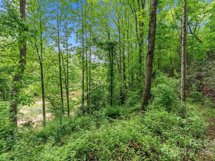 9 Mikayla Lane, Candler, NC 28715.  MLS# CAR4242075, YatesRealty ID 16364. Hiking from your front door