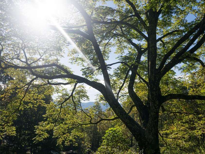 360 Banjo Branch Road, Burnsville, NC 28714.  MLS# CAR4310323, YatesRealty ID 1637. 