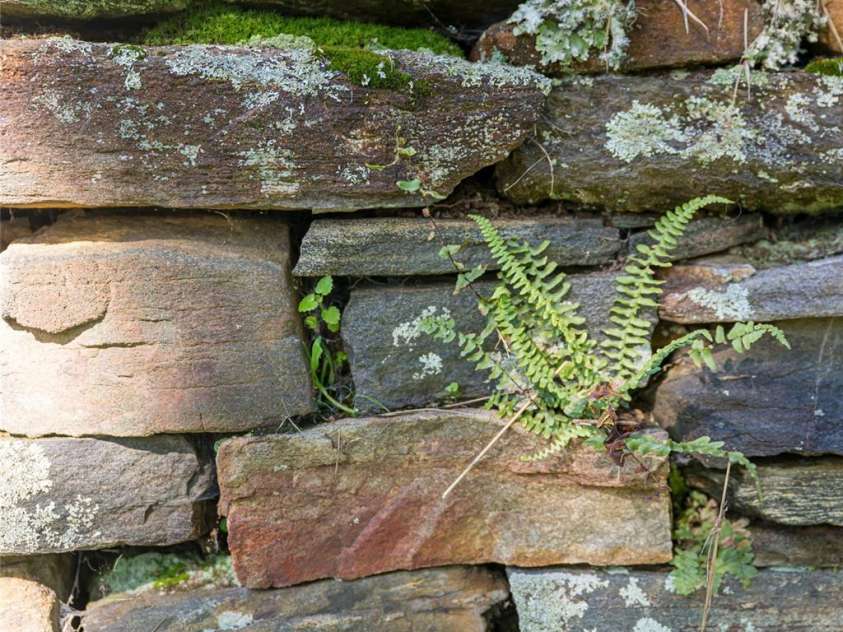 360 Banjo Branch Road, Burnsville, NC 28714.  MLS# CAR4310323, YatesRealty ID 1637. 