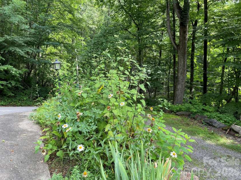 30 Laurel Branch Drive, Black Mountain, NC 28711.  MLS# CAR4356926, YatesRealty ID 16384. 
