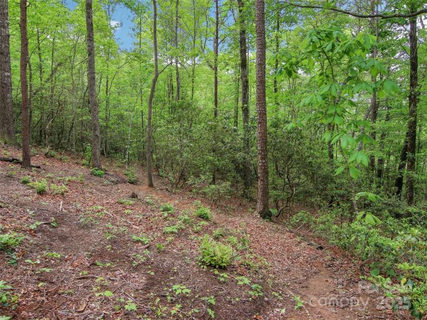 66 Executive Estates Drive, Old Fort, NC 28762.  MLS# CAR4254807, YatesRealty ID 16434. 