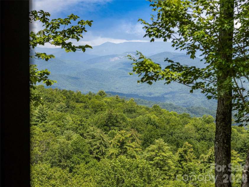 30 Banks Lane, Brevard, NC 28712.  MLS# CAR4367938, YatesRealty ID 16436. 