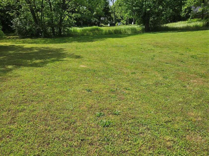 515 Benton Street, Monroe, NC 28110.  MLS# CAR4253864, YatesRealty ID 16448. Backyard