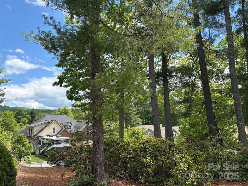 140 Shadowleaf Drive, Hendersonville, NC 28739.  MLS# CAR4254625, YatesRealty ID 16452. Views from Property