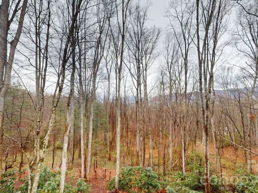 55 Highland Drive, Black Mountain, NC 28711.  MLS# CAR4266390, YatesRealty ID 16491. 