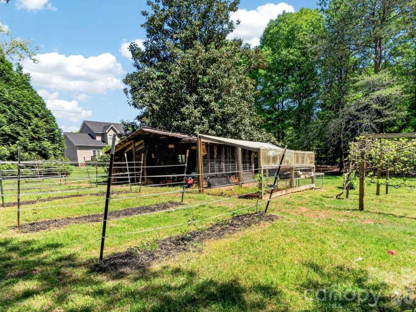 8145 Monbo Road, Catawba, NC 28609.  MLS# CAR4369669, YatesRealty ID 16509. Grape vines and storage barn 