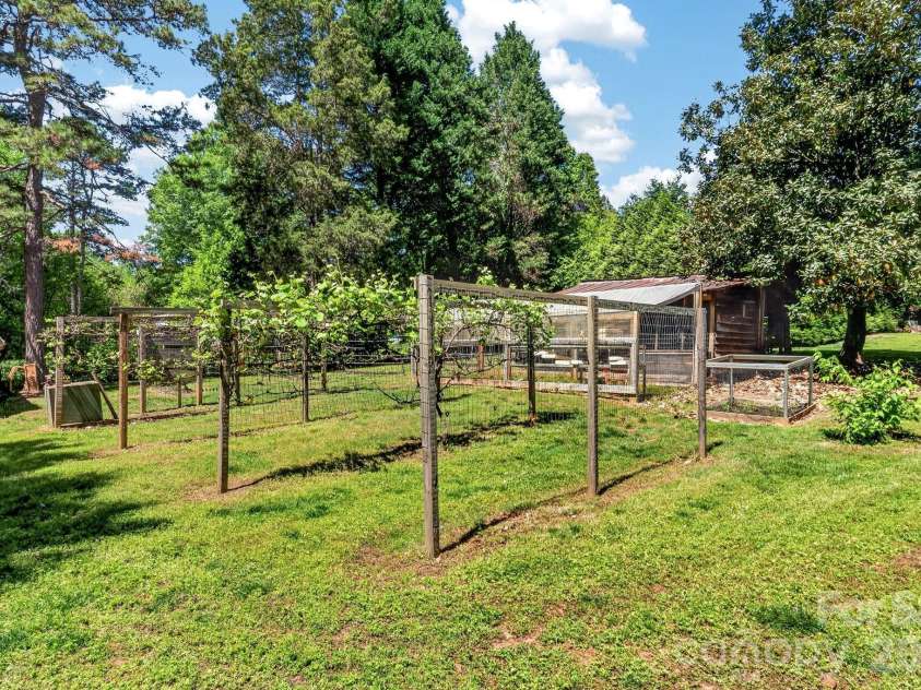 8145 Monbo Road, Catawba, NC 28609.  MLS# CAR4369669, YatesRealty ID 16509. Mature grape vines