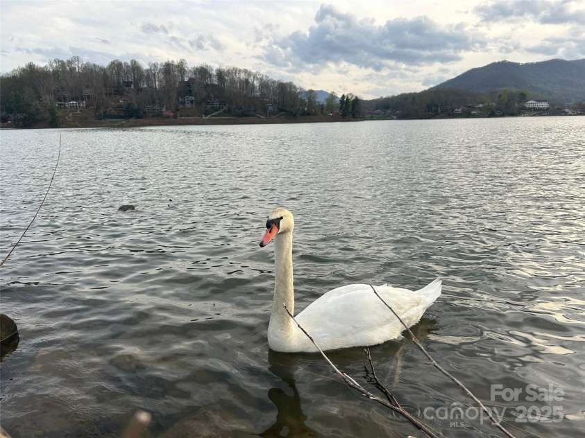 187 Tri Vista Drive, Lake Junaluska, NC 28745.  MLS# CAR4244085, YatesRealty ID 16515. 