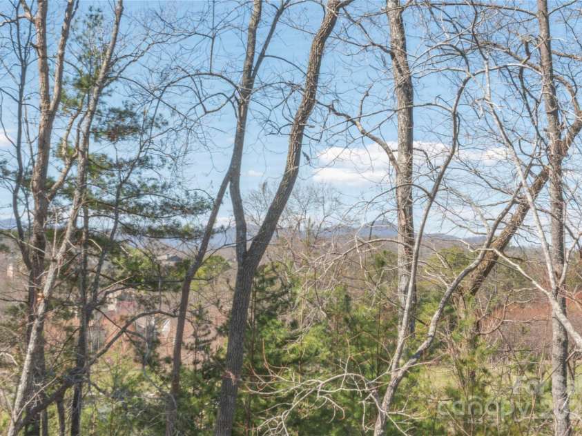95 Greenwells Glory Drive, Biltmore Lake, NC 28715.  MLS# CAR4247434, YatesRealty ID 16530. Your view