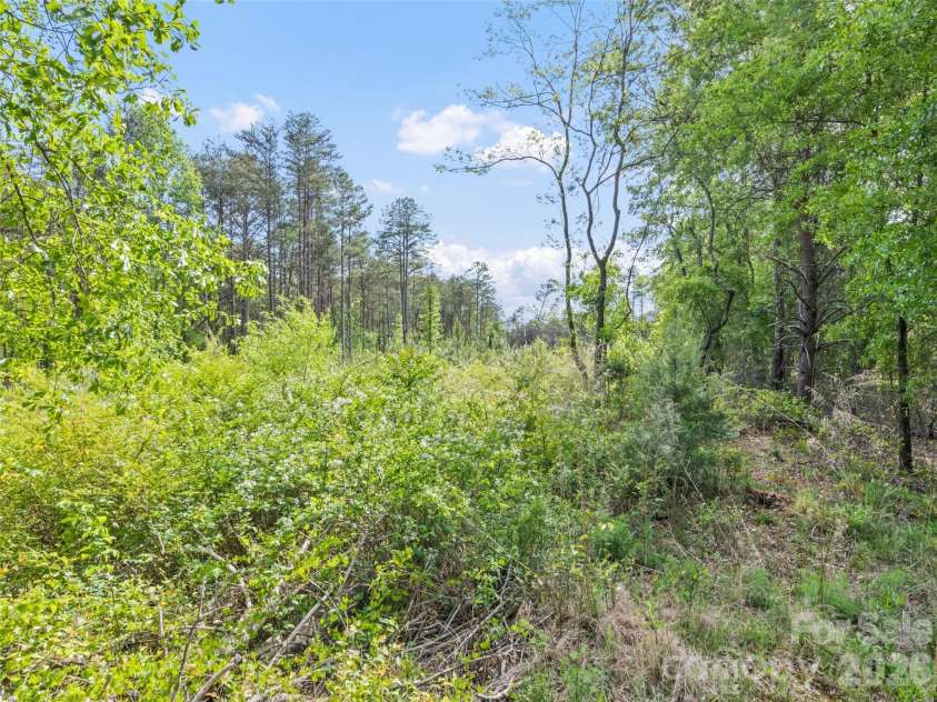 311 Soco Gap Road, Ellenboro, NC 28040.  MLS# CAR4373428, YatesRealty ID 16552. 