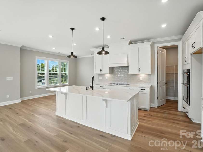12015 Lavinia Lane, Charlotte, NC 28277.  MLS# CAR4375413, YatesRealty ID 16568. Representation - actual home has the same options
