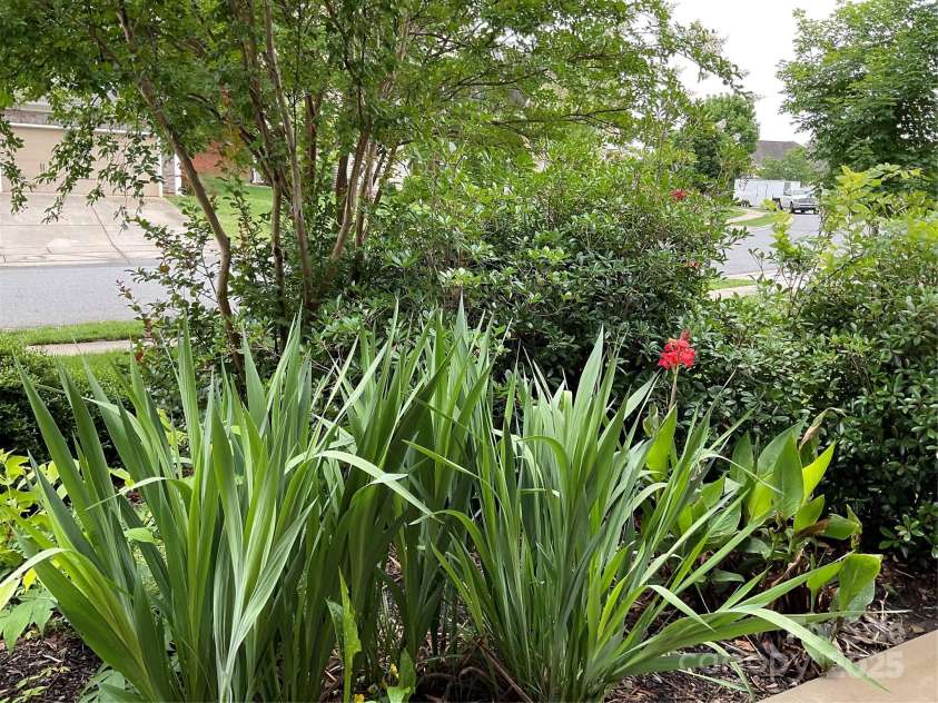 10817 Bere Island Drive, Charlotte, NC 28278.  MLS# CAR4256384, YatesRealty ID 16569. 