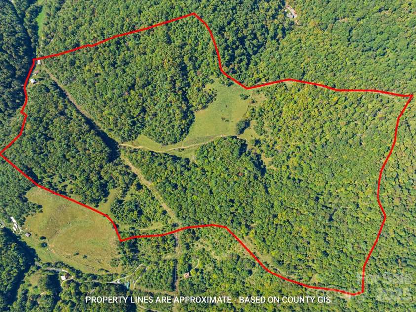 1623 Ammons Branch Road, Marshall, NC 28753.  MLS# CAR4307032, YatesRealty ID 166. 137.5 acres of beautiful land