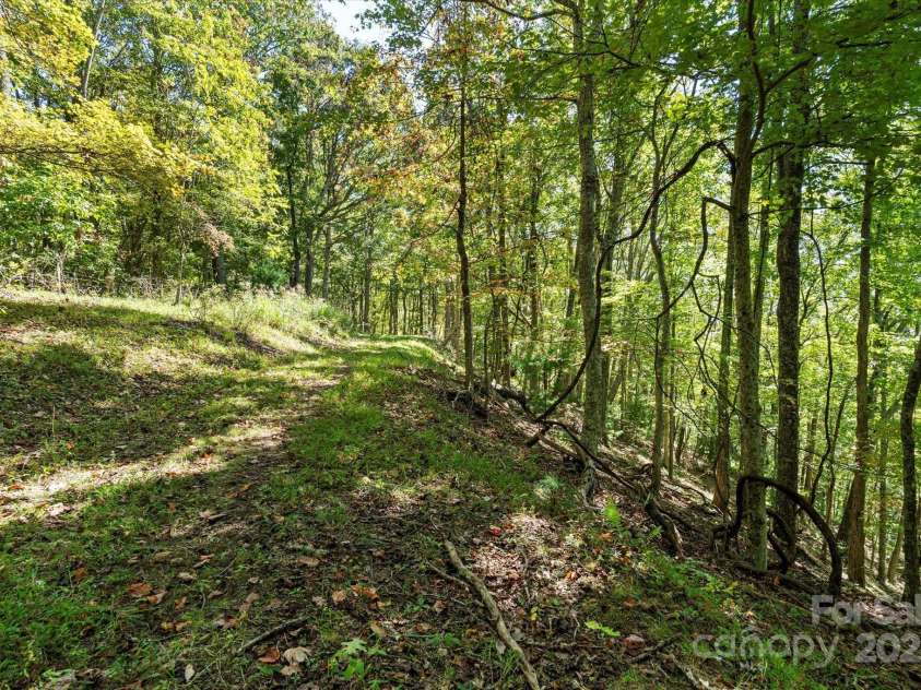 1623 Ammons Branch Road, Marshall, NC 28753.  MLS# CAR4307032, YatesRealty ID 166. 