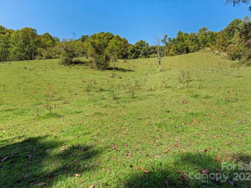 1623 Ammons Branch Road, Marshall, NC 28753.  MLS# CAR4307032, YatesRealty ID 166. Pasture