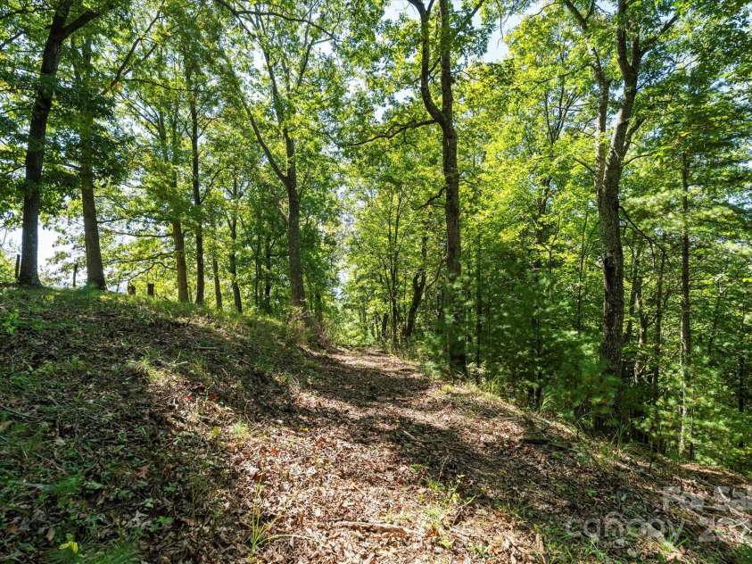 1623 Ammons Branch Road, Marshall, NC 28753.  MLS# CAR4307032, YatesRealty ID 166. Roads through the property