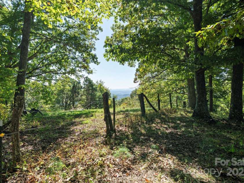 1623 Ammons Branch Road, Marshall, NC 28753.  MLS# CAR4307032, YatesRealty ID 166. Top of the ridge