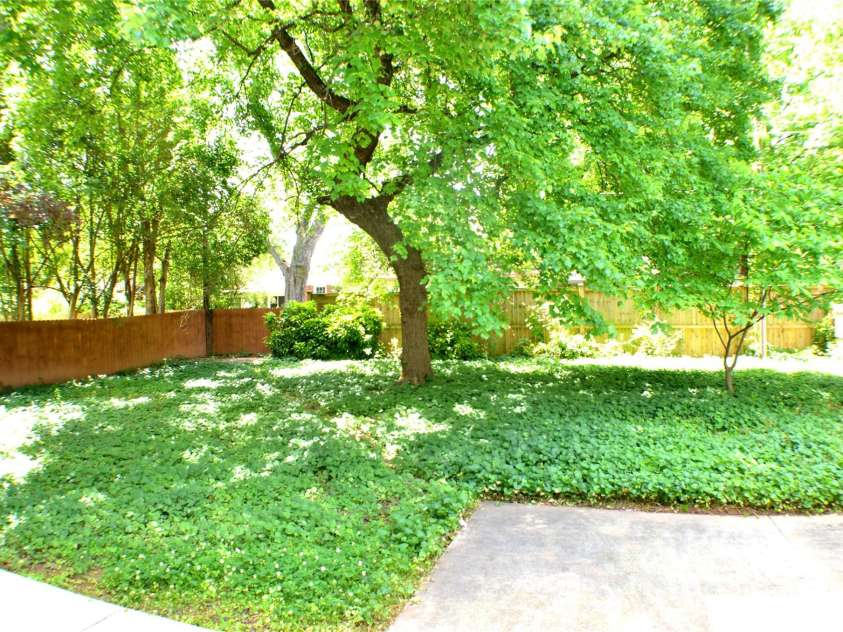 2000 Tyvola Road, Charlotte, NC 28210.  MLS# CAR4260481, YatesRealty ID 16600. Step into your own private escape with a fully fenced backyard, perfect for relaxing and recharging away from the noise of the world.