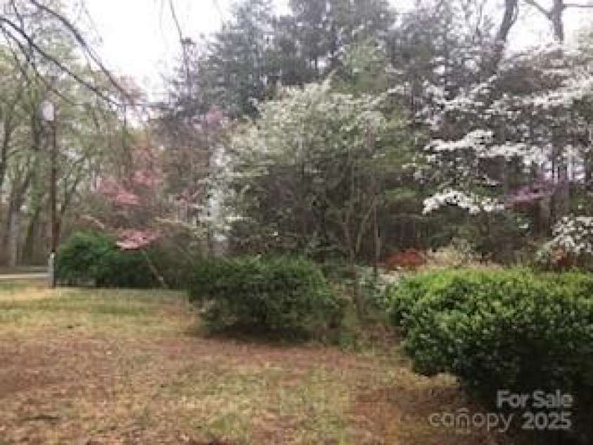 235 John Rainey Road, Salisbury, NC 28147.  MLS# CAR4241333, YatesRealty ID 16665. View of trees and shrubs
