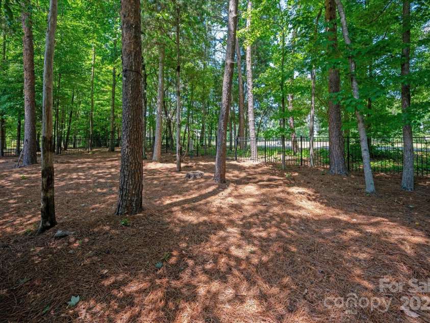1085 Wessington Manor Lane, Fort Mill, SC 29715.  MLS# CAR4261252, YatesRealty ID 16668. 