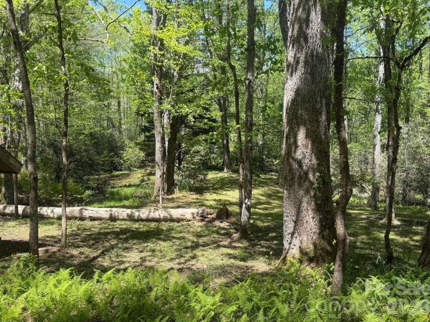 427 Wingfield Way, Brevard, NC 28712.  MLS# CAR4372461, YatesRealty ID 16709. The grounds of the property are so nice 