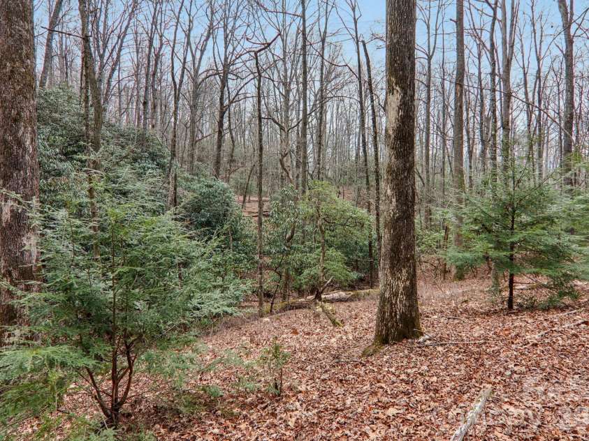 71 Setsi Lane, Brevard, NC 28712.  MLS# CAR4345276, YatesRealty ID 1673. 