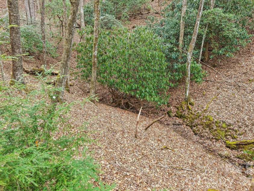 71 Setsi Lane, Brevard, NC 28712.  MLS# CAR4345276, YatesRealty ID 1673. 