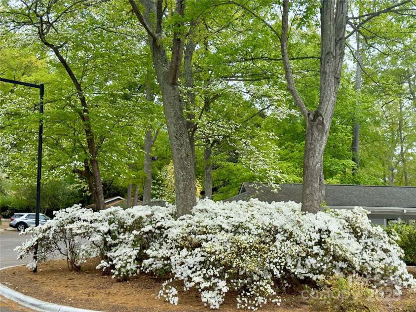 401 Lake Club Drive, Rock Hill, SC 29732.  MLS# CAR4264641, YatesRealty ID 16794. 