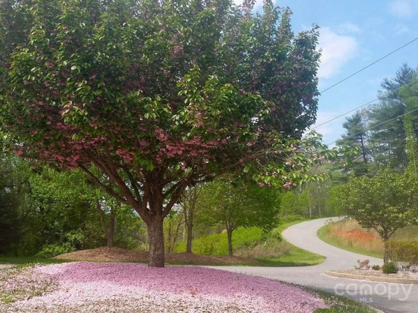 178 Waightstill Drive, Arden, NC 28704.  MLS# CAR4007759, YatesRealty ID 16796. 